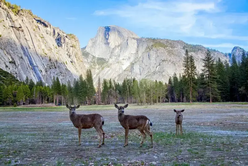 El Parque Nacional Cerro Cahuí, con senderos y belleza natural.